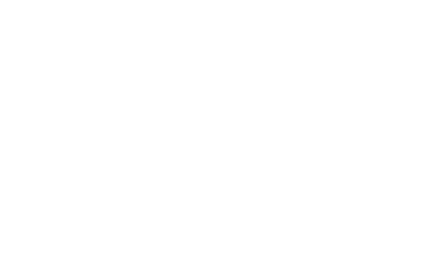 Securigeek